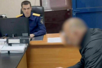 В Сочи арестовали владельца собак, загрызших 12-летнюю шахматистку