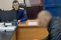 В Сочи арестовали владельца собак, загрызших 12-летнюю шахматистку