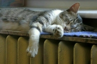 В Москве начнут отключать отопление с 14 мая