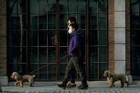 В Китае опровергли слух об изъятии у граждан загранпаспортов на фоне пандемии