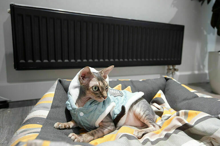 В Петербурге завершился отопительный сезон