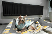 В Петербурге завершился отопительный сезон