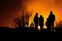 Как вести себя при пожаре в лесу