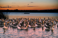 Реестр источников питьевой воды заработает полномасштабно в 2024 году