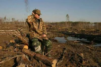 За незаконную рубку краснокнижных деревьев предложили лишать свободы