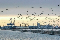 В МИД РФ ответили на призыв ООН прекратить блокаду морских портов Украины