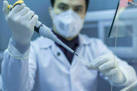 Иностранным специалистам хотят выдавать бессрочный вид на жительство