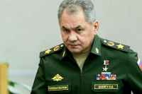 Шойгу рассказал о неудачной попытке Украины захватить остров Змеиный перед 9 Мая