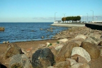 В Минстрое пообещали поддержать программу оздоровления Финского залива и Ладоги