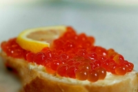 На Камчатке предложили ограничить вывоз крупных партий красной икры