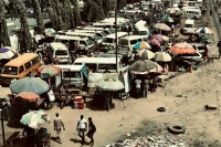 В Минобороны заявили, что оспа обезьян могла распространиться из Нигерии