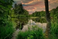 В Роспотребнадзоре рассказали, в каких водоемах опасно купаться