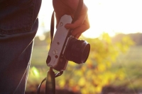 Фотобанк Pixabay прекратил работу в России