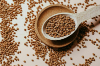 Врач назвал полезные свойства гречки