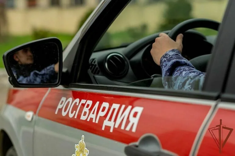 Хранить оружие предписали за двумя замками
