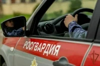 Хранить оружие предписали за двумя замками