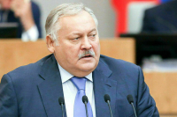 Константин Затулин: Упрощенное получение гражданства надо регулировать законом, а не указами