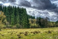 В Якутии проведут эксперимент по вызову осадков для борьбы с пожарами