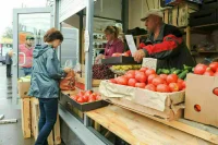 Льготы малого бизнеса по аренде хотят распространить на самозанятых