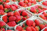 В Роспотребнадзоре объяснили, как выбрать самую вкусную клубнику