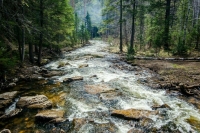 В Минприроды пожаловались на низкое финансирование туризма в заповедниках 