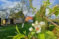 Продление дачной амнистии хотят перенести на 1 июля
