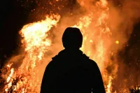 Поджигателям лесов ужесточили наказание