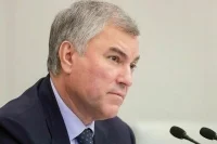 Володин: В KPI работы комитетов Госдумы необходимо включить анализ правоприменения законов