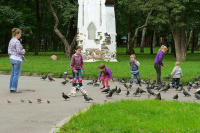 На поддержку многодетных семей направят еще 1,4 млрд рублей