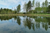 Минприроды собирается создать реестр источников питьевой воды до конца 2023 года