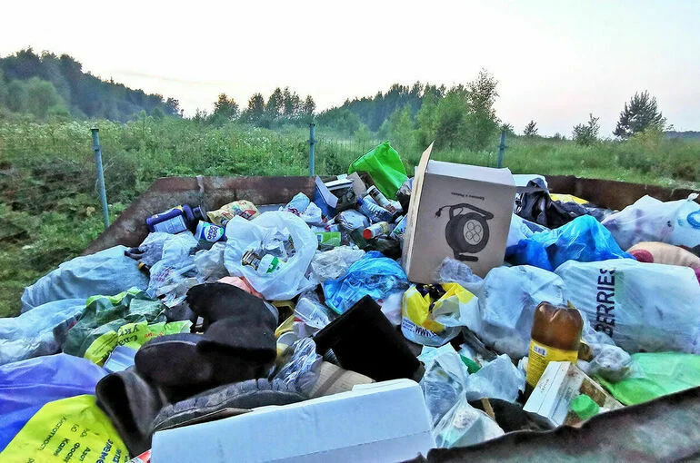 За свалку мусора из машин хотят наказывать строже