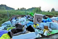 За свалку мусора из машин хотят наказывать строже