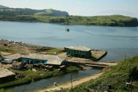 Путин поручил удвоить кешбэк для поездок на Дальний Восток