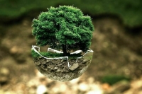 В Минобрнауки разработали Стратегию развития природоподобных технологий