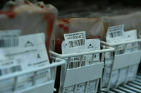 Законопроект о производстве лекарств из плазмы крови прошел второе чтение