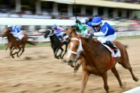 При трансляции скачек хотят разрешить рекламу тотализаторов