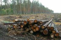 Первые гуманитарные поставки лесоматериалов из России прибыли в Донбасс  