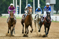 Госдума приняла закон о рекламе тотализаторов при трансляции скачек