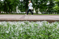 Как пережить тополиный пух и не чихать