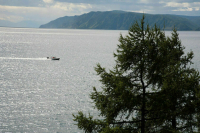 Принят закон о запрете создания новых биосферных полигонов в заповедниках