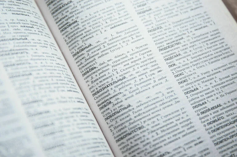 Знание русского языка хотят сделать обязательным при поступлении на госслужбу