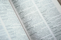 Знание русского языка хотят сделать обязательным при поступлении на госслужбу