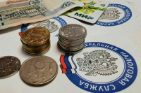 Россиянам предложили взаимодействовать с ФНС на госуслугах