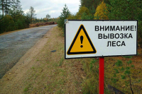 Путин: Без суверенитета РФ будет производить лишь нефть, газ, пеньку и седла