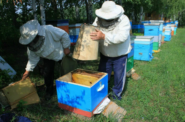 Выплаты по соцконтракту для ИП и на подсобное хозяйство увеличат