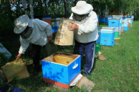 Выплаты по соцконтракту для ИП и на подсобное хозяйство увеличат