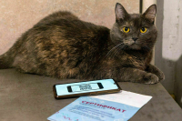 Минздрав дал новые рекомендации по прививкам от коронавируса