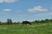 Минсельхоз доработал законопроект о контроле за биоотходами