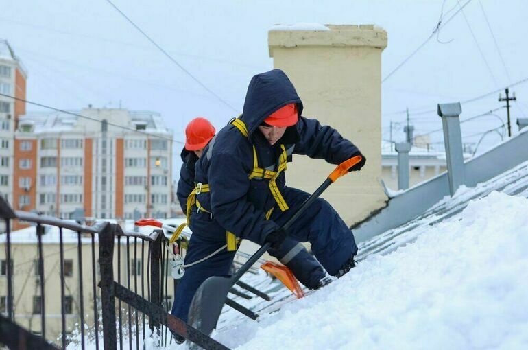 В Петербурге возбудили дело по факту убийства собаки глыбой льда
