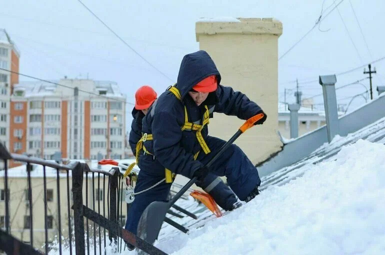 В Петербурге возбудили дело по факту убийства собаки глыбой льда